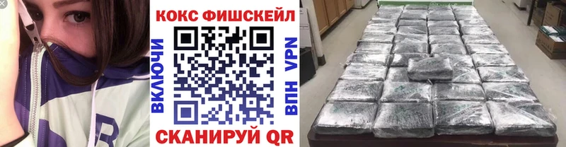 COCAIN Fish Scale Горняк