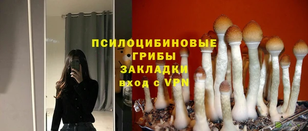 кокаин премиум Богородицк