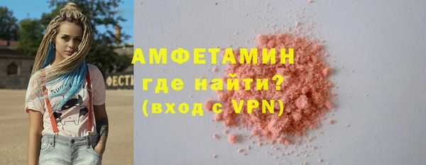 ПСИЛОЦИБИНОВЫЕ ГРИБЫ Богданович