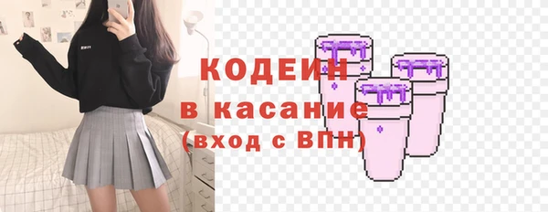 ПСИЛОЦИБИНОВЫЕ ГРИБЫ Богданович