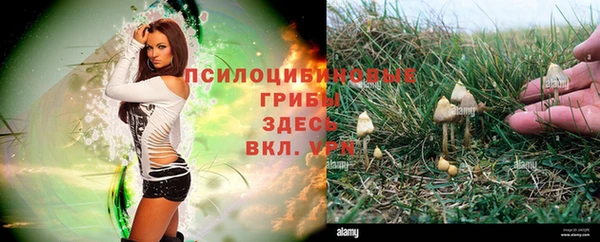 кокаин премиум Богородицк