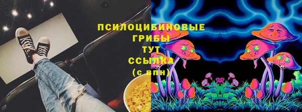 ПСИЛОЦИБИНОВЫЕ ГРИБЫ Богданович
