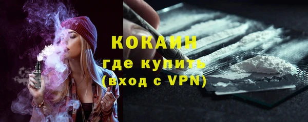 шишки Сосновка